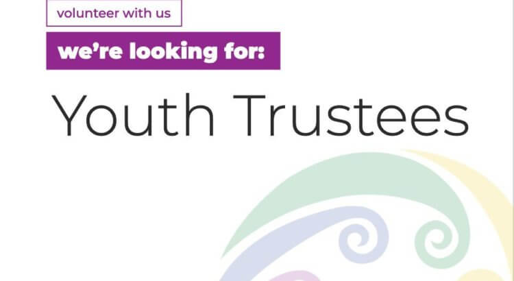 InsideOut Youth Trustee (under 27)